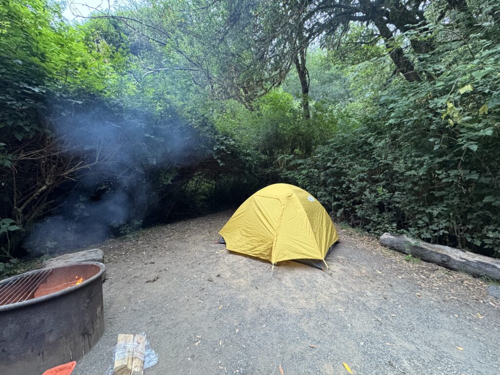 Campground at Prairie Creek State Park with tall redwoods and tents.